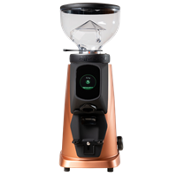 Fiorenzato AllGround Sense Kaffeemühle mit Wiegefunktion