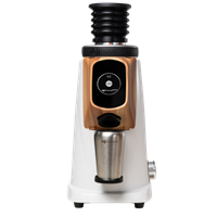 Fiorenzato Allground probrew Single-Dose Kaffeemühle