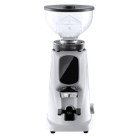 Fiorenzato AllGround Sense Kaffeemühle mit Wiegefunktion